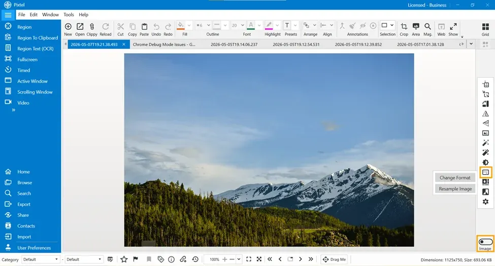 Accessing Change Format and Resample Image options in Pixtel