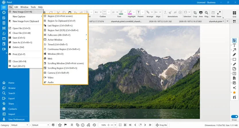 File menu capture options in Pixtel
