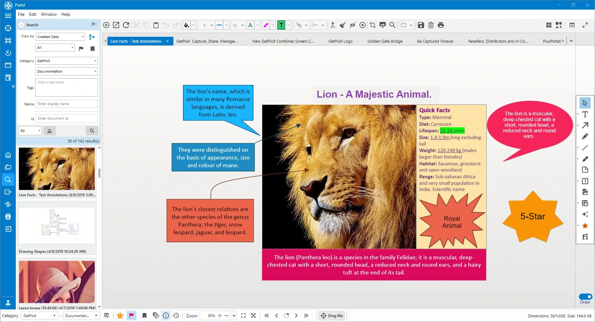Pixtel Draw Mode annotation tools