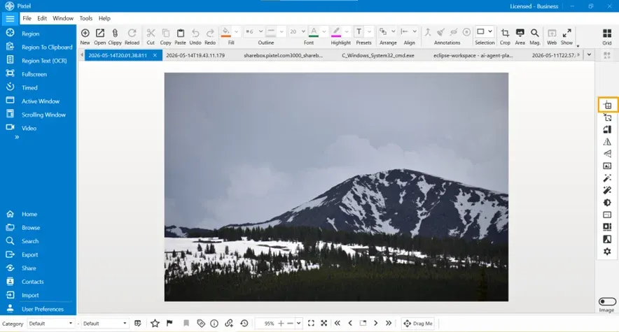 Image Resize dialog box in Pixtel