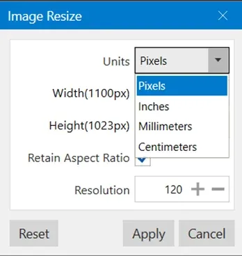 Units selection for image resizing in Pixtel