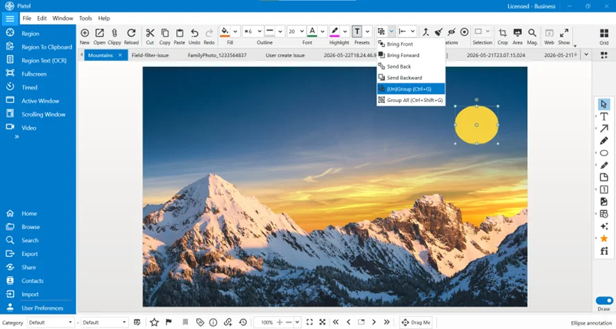 Arrange Annotations in Pixtel: Organize Your Image Elements Easily