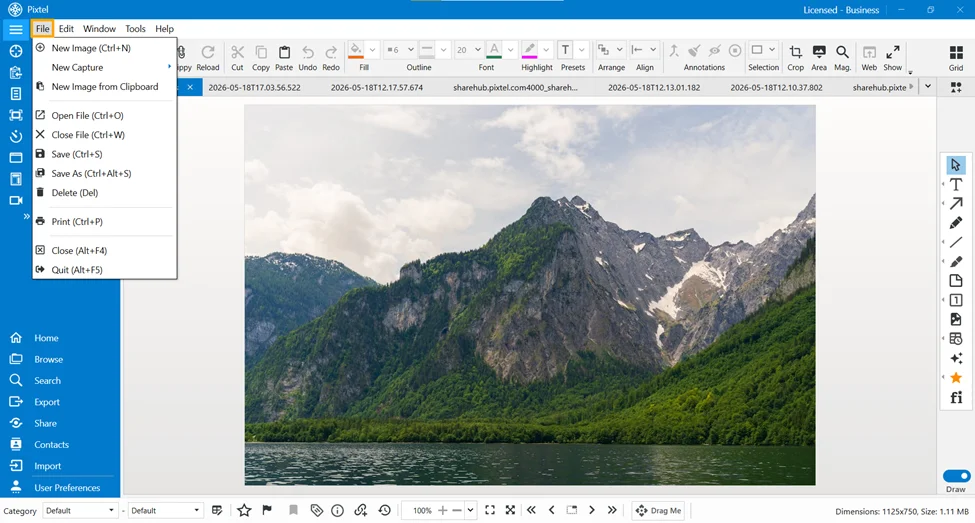 Complete Guide to File Options in Pixtel Image Editor