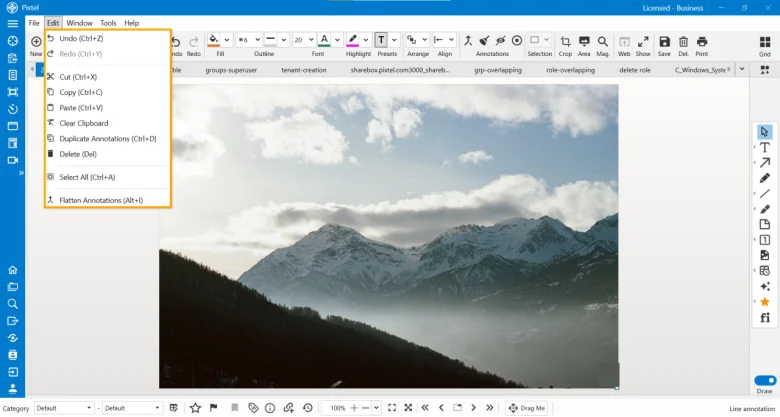 Edit Features in Pixtel: Simplify Image Editing and Annotation Management
