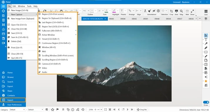 Editing Screenshots in Pixtel Using Cut, Copy, Paste, Undo, and Redo