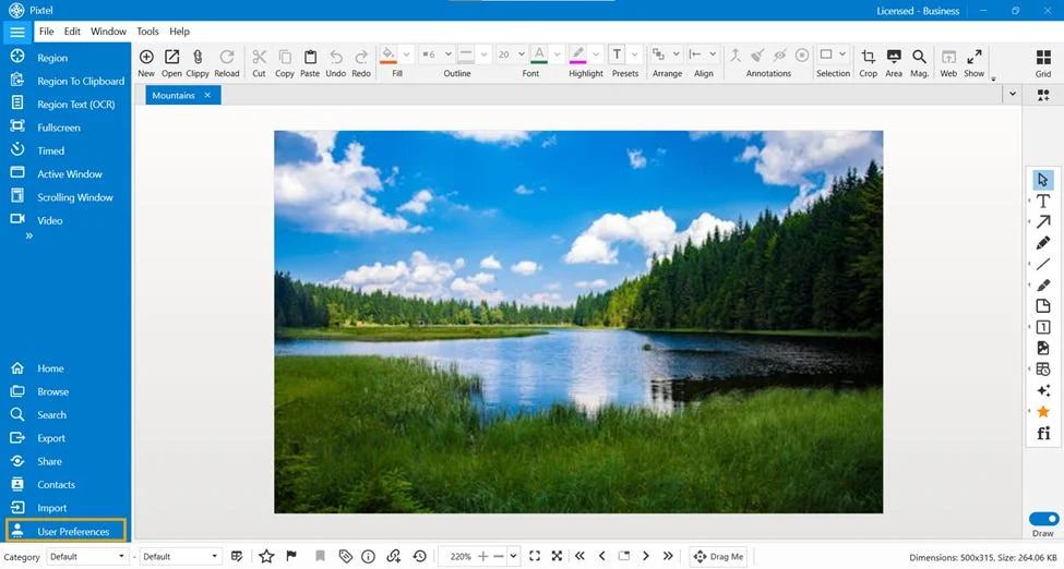 How to Customize Capture Options in Pixtel