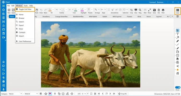 How to Manage Multiple Screenshots Effortlessly in One Place with Pixtel