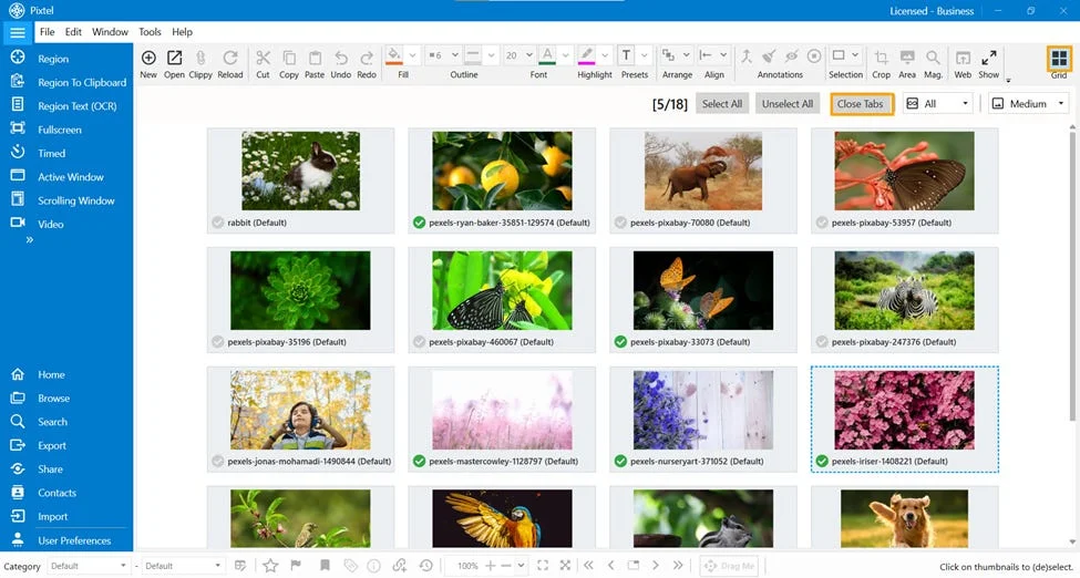 How to Organize and Present Multiple Screenshots Using Pixtel