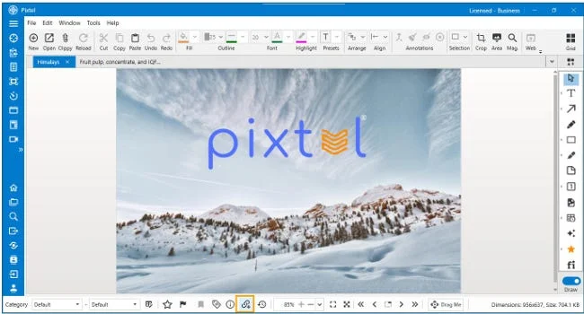 How to Share Images Using Share Link in Pixtel