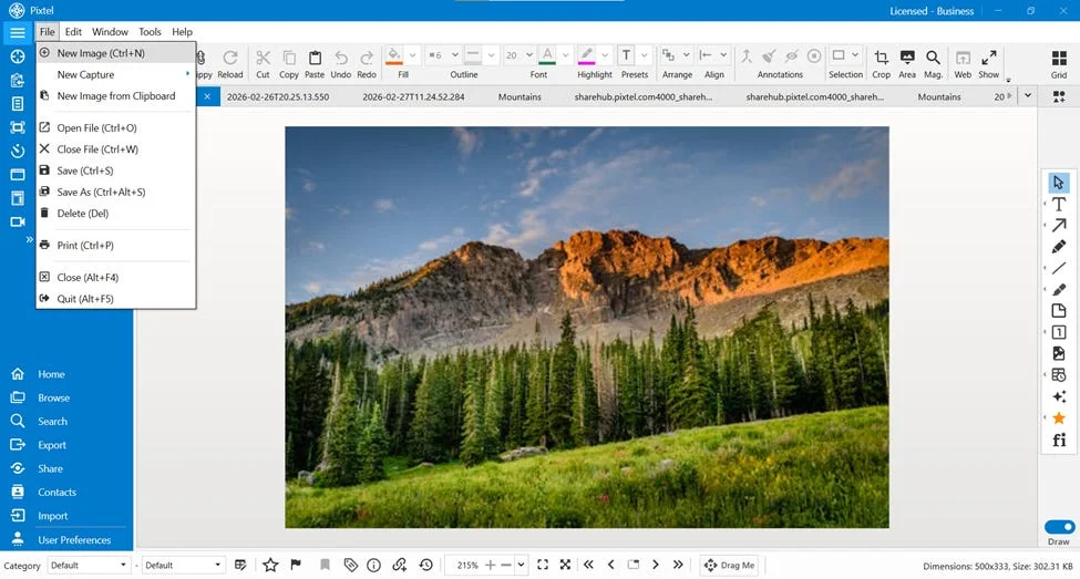 New Image Feature in Pixtel - Create Custom Designs Instantly