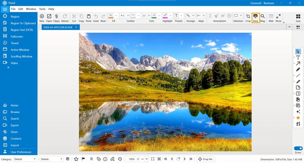 Perform Operations on a Selected Image Area in Pixtel