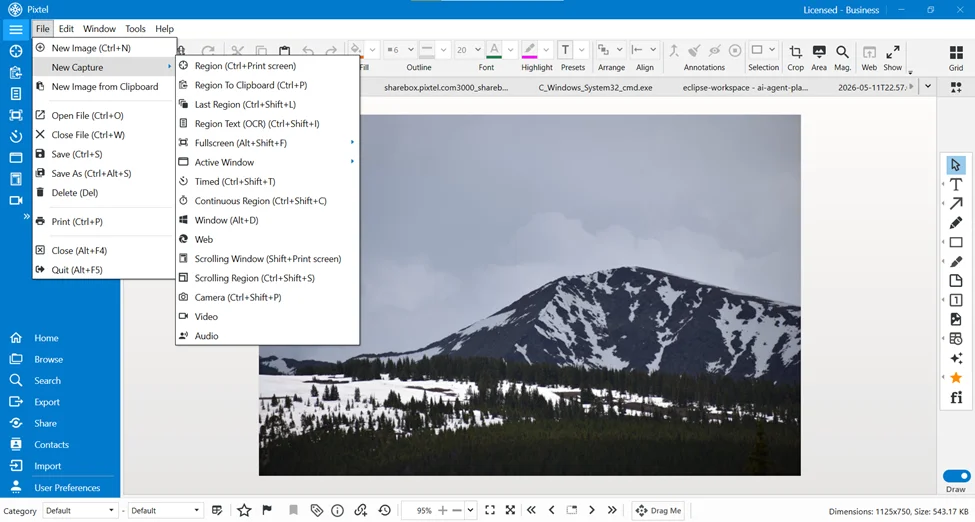Resize Images Easily with Pixtel