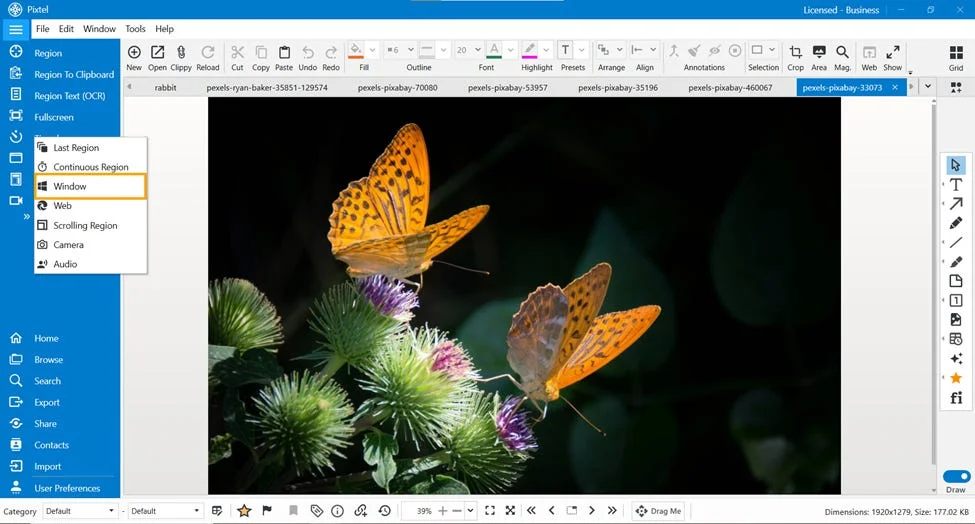 Window Capture in Pixtel - Capture Only What You're Working On